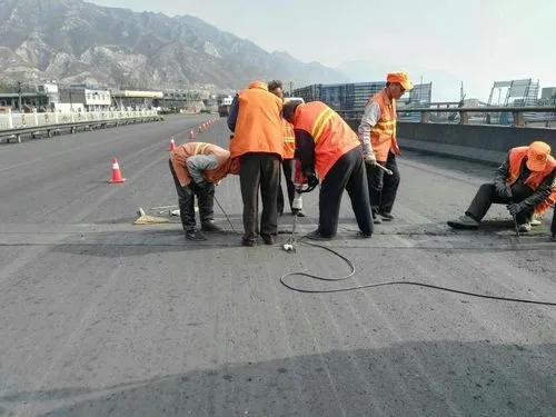 清徐道路桥梁病害治理